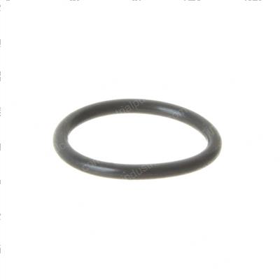 Picture of O-Ring