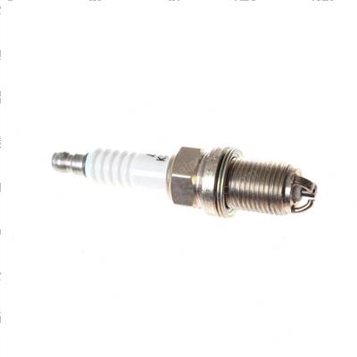 Picture of Plug - Spark