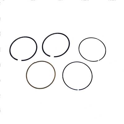 Picture of Ring Kit - Std