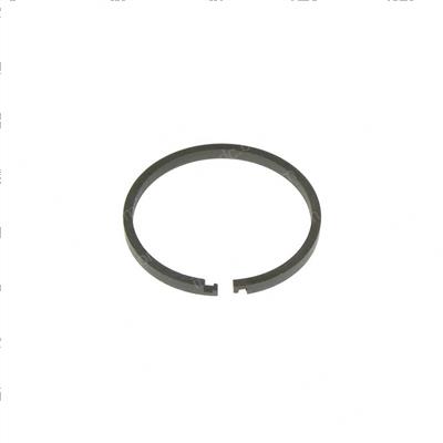 Picture of Seal