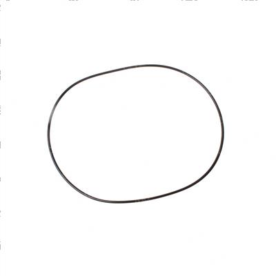 Picture of O-Ring
