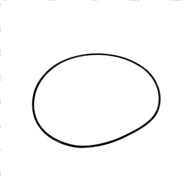 Picture of O-Ring