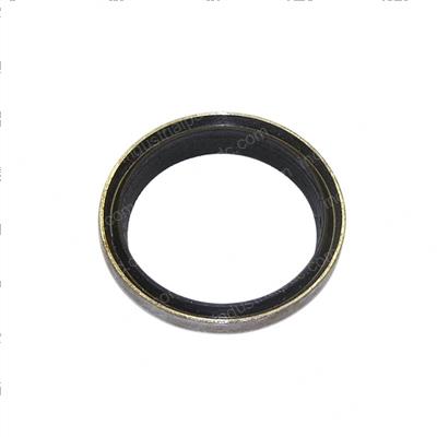 Picture of Ring - Wiper