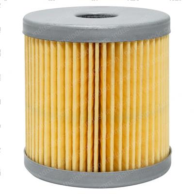 Picture of Filter - Fuel