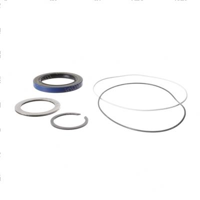 Picture of Seal Kit - Swing Hub Assembly