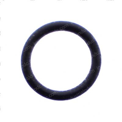 Picture of O-Ring