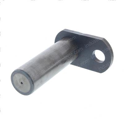 Picture of Pin