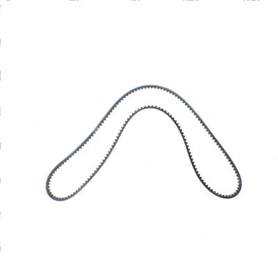 Picture of Belt