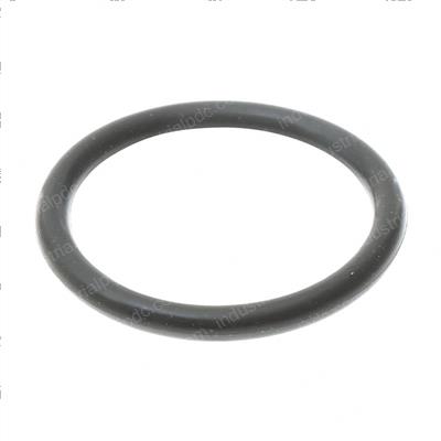 Picture of O Ring 26x2.4