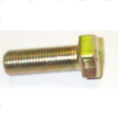 Picture of Bolt