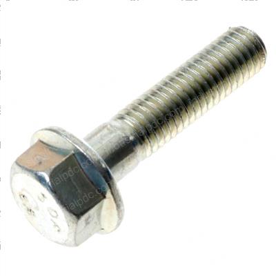 Picture of Bolt