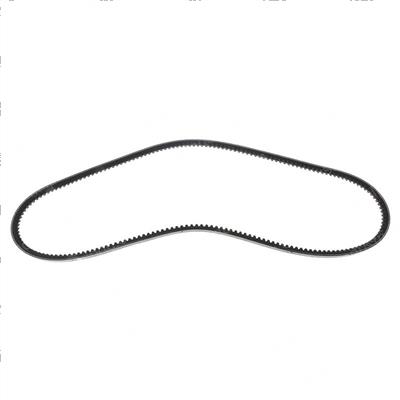 Picture of Belt