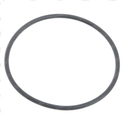 Picture of O-Ring