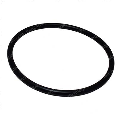 Picture of O-Ring