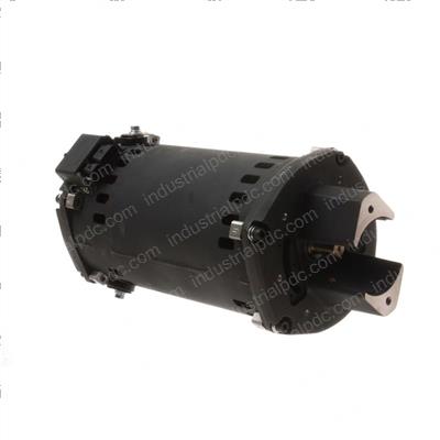 Picture of Motor - Pump 36-48volt Ac