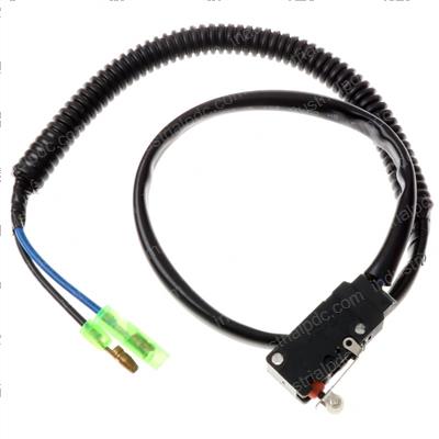 Picture of Microswitch