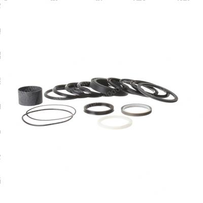 Picture of Seal Kit - Swing Cylinder