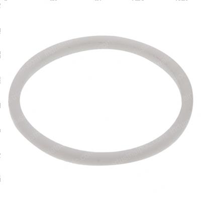 Picture of Ring - Backup