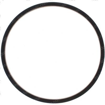 Picture of Gasket - Filter