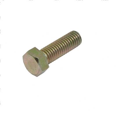 Picture of Bolt