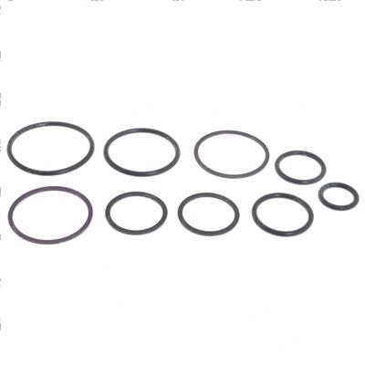 Picture of O-Ring Kit