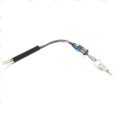 Picture of Switch - Key