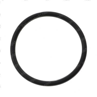 Picture of O-Ring