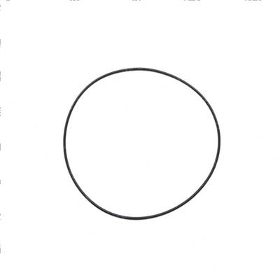 Picture of O-Ring Motor Torque Hub 34115