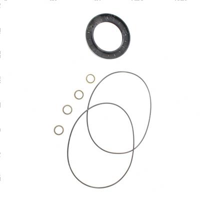 Picture of Seal Kit - Reducer Drive Turnta
