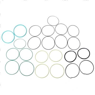 Picture of Seal Kit 8-Port Swivel