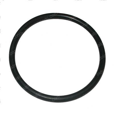 Picture of O-Ring