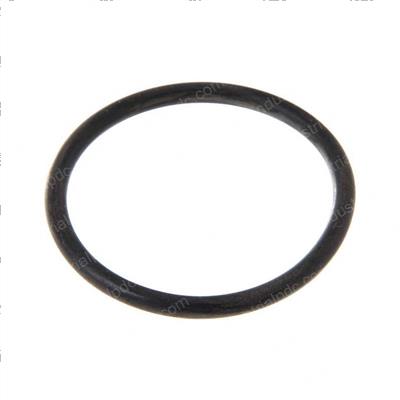Picture of O-Ring