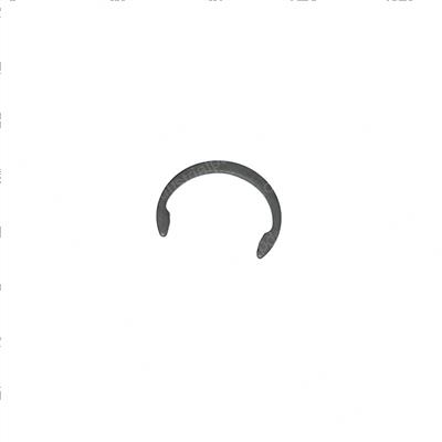 Picture of Ring - Retaining