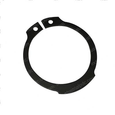 Picture of Ring-Retaini