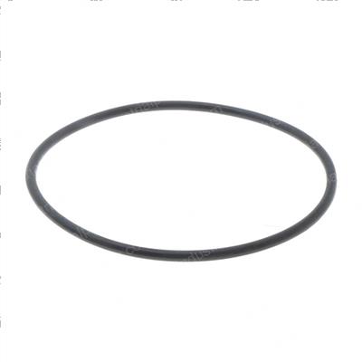 Picture of O-Ring