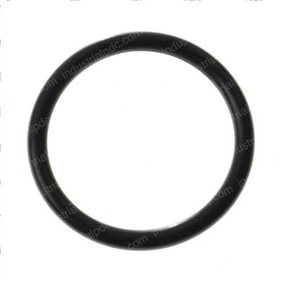 Picture of O-Ring
