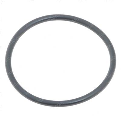 Picture of O-Ring