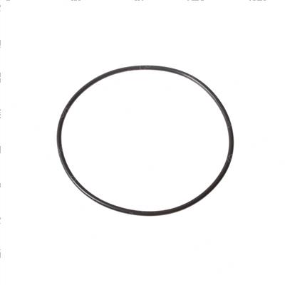 Picture of O-Ring