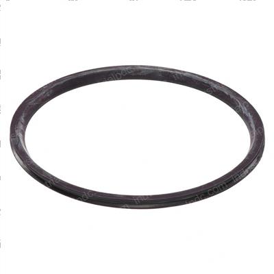 Picture of Seal