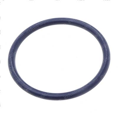 Picture of O-Ring