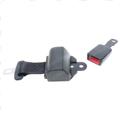 Picture of Seat Belt