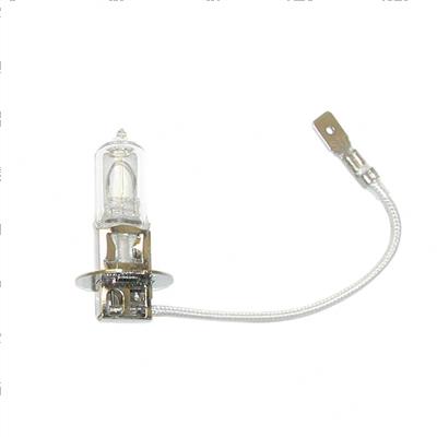 Picture of Bulb - 48 Volt
