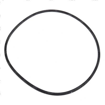 Picture of O-Ring