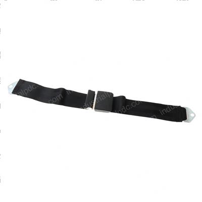 Picture of Belt - Safety