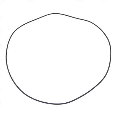 Picture of O-Ring