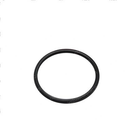 Picture of O-Ring