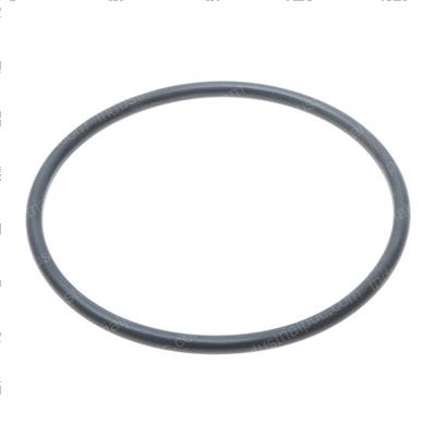 Picture of O-Ring