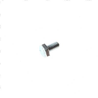 Picture of Bolt