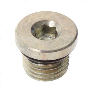 Picture of Hdwr Pf Plug M 43 O-Ring Syn