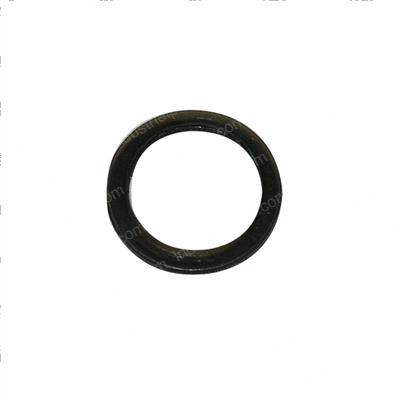 Picture of O-Ring